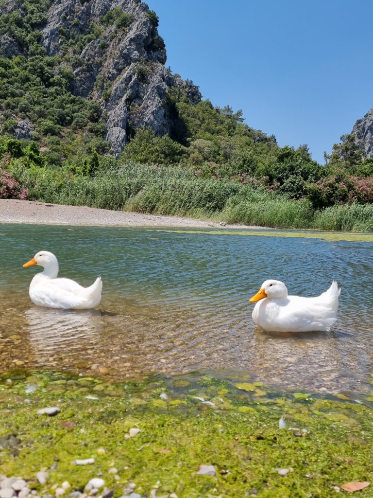 small lake in Olympos