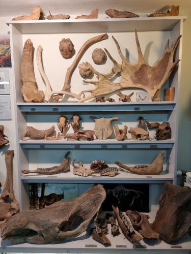 Το ιδιόκτητο μουσείο απολιθωμάτων και πετρωμάτων στο Dubiecko